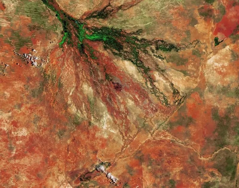 Okavango Delta